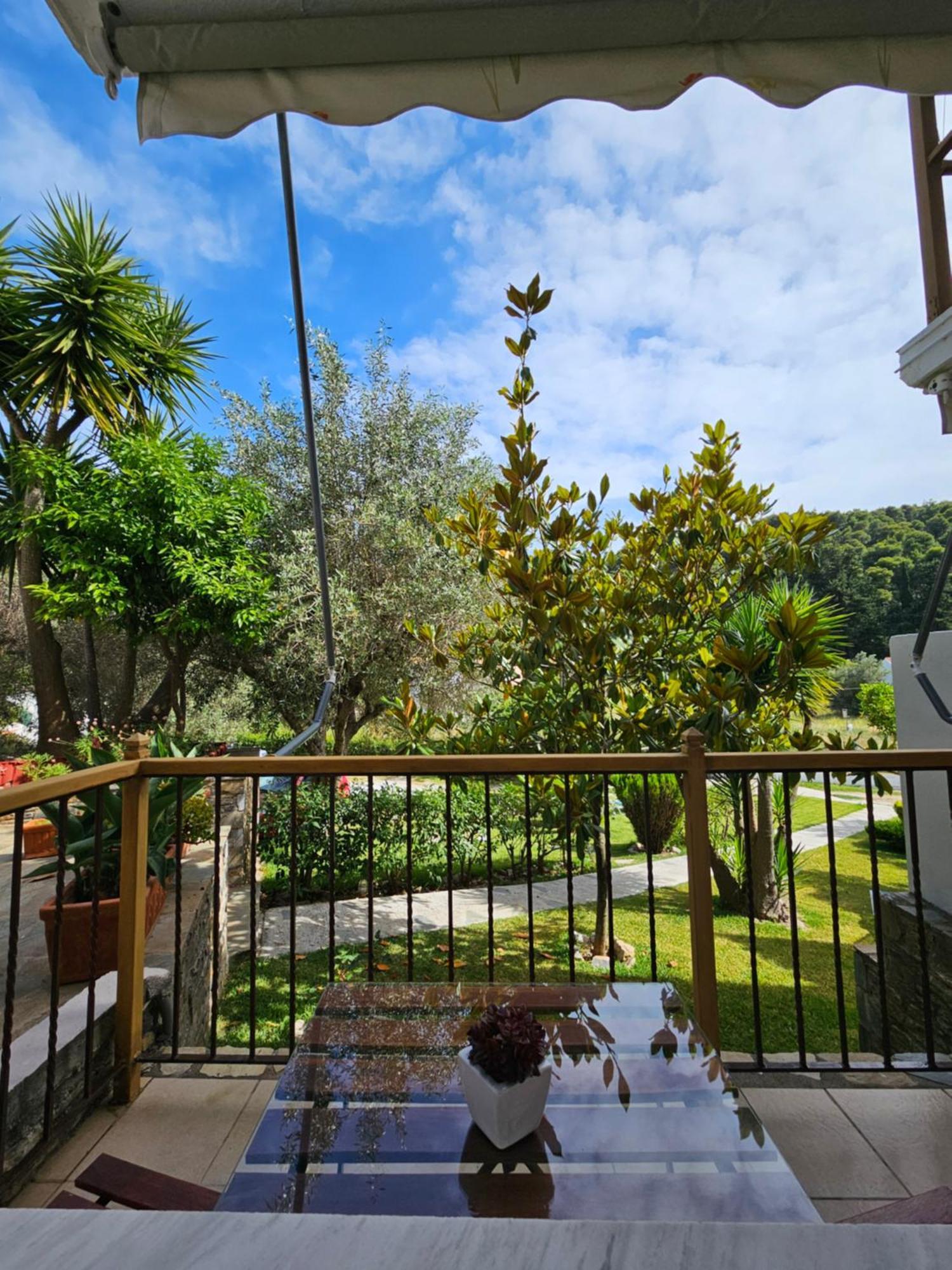 The Pine Trees Aparthotel Agnontas Exterior photo